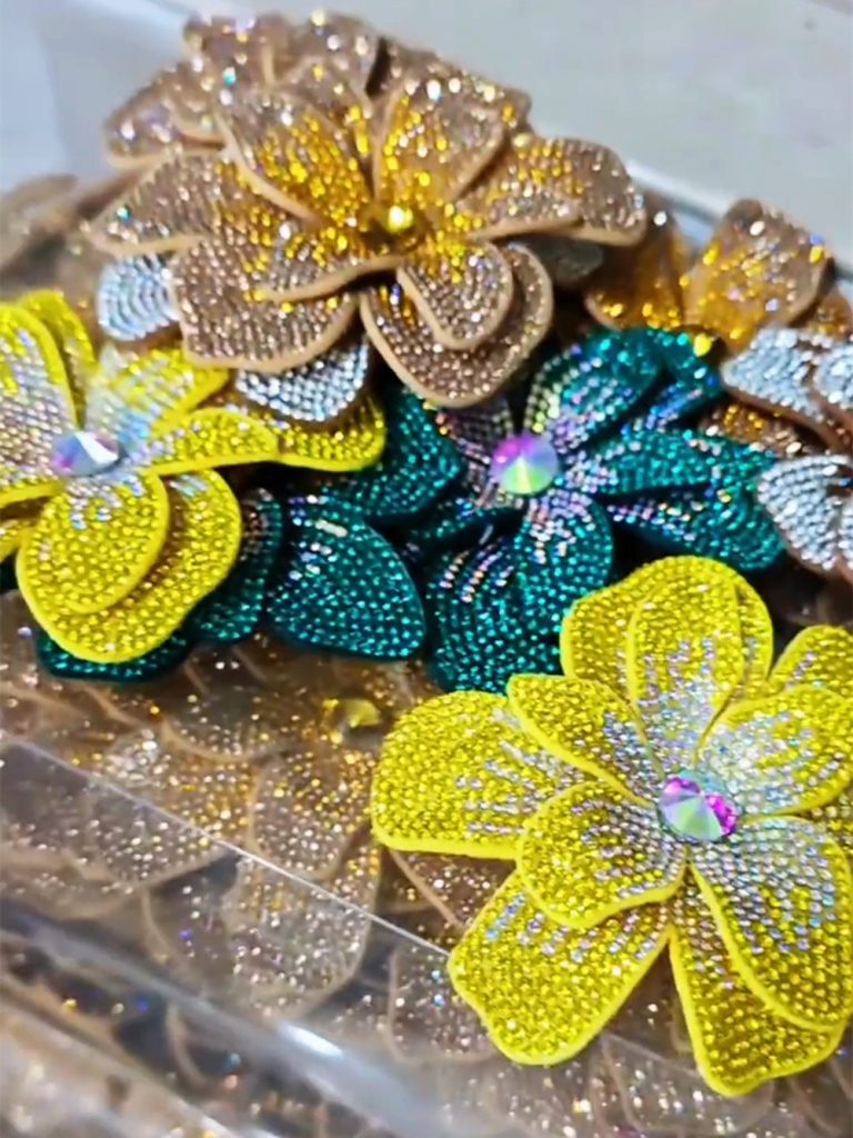 shoe accessories